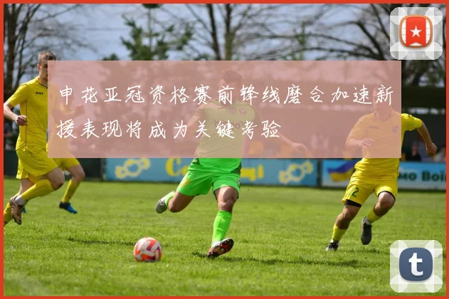 申花亚冠资格赛前锋线磨合加速新援表现将成为关键考验